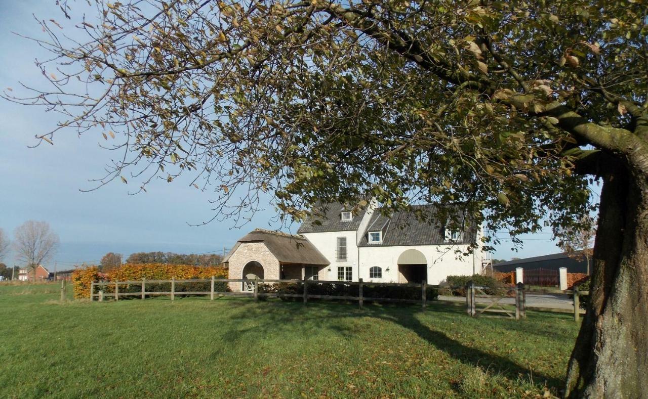 De Weide Poort Bed & Breakfast Beerse Dış mekan fotoğraf