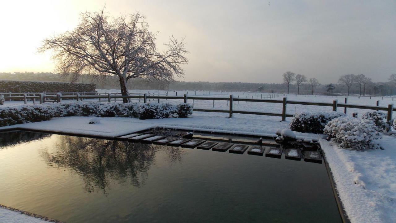 De Weide Poort Bed & Breakfast Beerse Dış mekan fotoğraf
